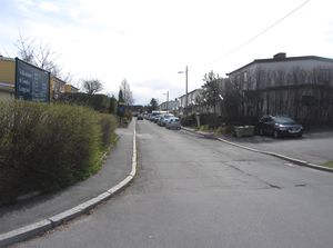 Løvsetfaret Oslo 2014.jpg