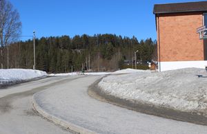 Løytevegen Rollag 2016.jpg