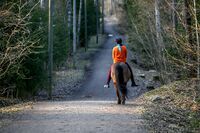 Parti fra Den Fredrikshaldske kongevei mellom Øvre Prinsdal gård i Oslo og Tårnåsen i Nordre Follo. Foto: Leif-Harald Ruud (2021)