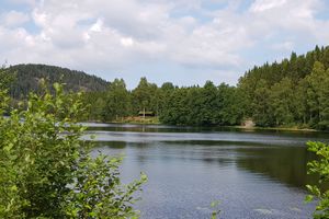 Ladderud under Skinnarbøl Kongsvinger.jpg