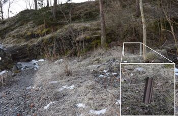 Når du går fra Flatstranda mot Propsen finner du jernstolpen, landfestet, noen meter til høyre for stien rett før knausen. (Foto Victor Iversen 2021)