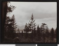 339. Landskap fra uidentifisert sted - no-nb digifoto 20160331 00004 bldsa NGU0167.jpg