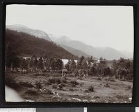 335. Landskap fra uidentifisert sted - no-nb digifoto 20160331 00010 bldsa NGU0199.jpg