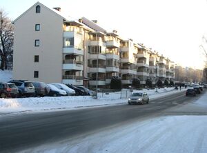 Langbølgen Oslo 2014.jpg