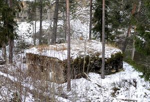 Langnes geværgalleri.jpg