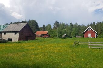 Langtjern (Kongsvinger gnr. 1 27) 2021.jpg