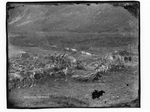 Lapper i Tromsodalen - NB MS G4 0601.jpg