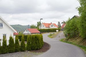 Larvik, Brånaåsen-1.jpg