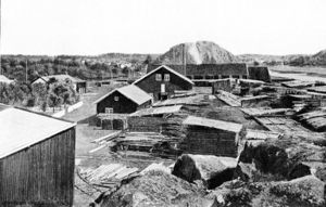 Larvik, Buggesaga.jpg