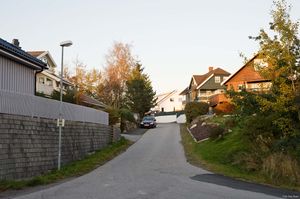 Larvik, Hammerlia-1.jpg