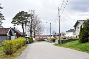 Larvik, Ratoppen-1.jpg