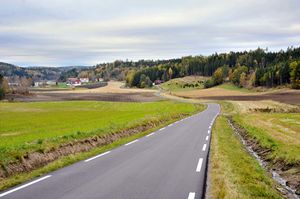 Larvik, Skinmoveien-1.jpg