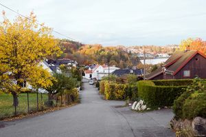 Larvik, Tenvikveien-1.jpg