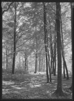 196. Larvik - no-nb digifoto 20151126 00249 NB MIT FNR 13909.jpg