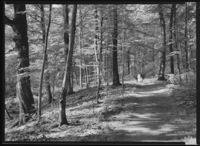 190. Larvik - no-nb digifoto 20151126 00258 NB MIT FNR 13907.jpg