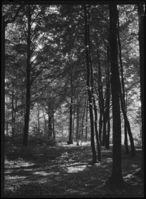 185. Larvik - no-nb digifoto 20151126 00260 NB MIT FNR 13910.jpg