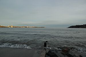 Larviksfjorden.jpg