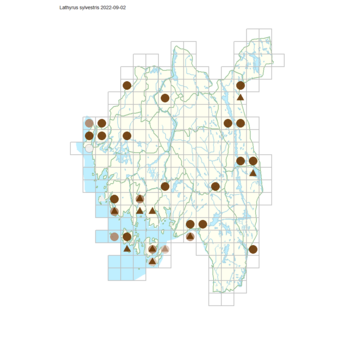 Lathyrus sylvestris.png