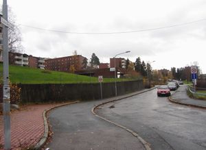 Lavrans vei Oslo 2013.jpg