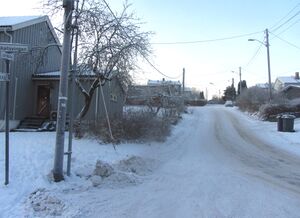 Leirskallen Oslo 2014.jpg