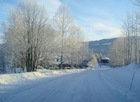 Motiv fra Ligrendvegen. Rollag alders- og sykehjem skimtes til venstre. Foto: Stig Rune Pedersen