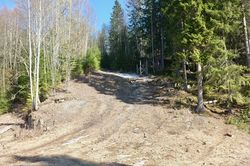 Lille Bjartbakken, unnarennet. Fortsatt i bruk som akebakke. Foto: Kjetil Ree (2019).