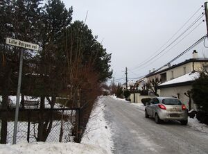 Lille Borgen vei Oslo 2015.jpg