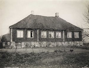 Lille Frøen Wilse.jpg