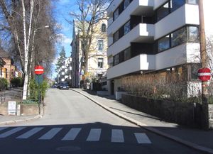 Lille Frogner allé Oslo 2014.jpg