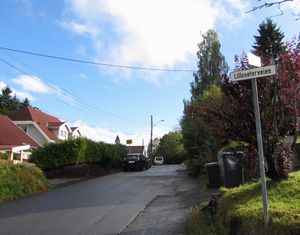 Lilloseterveien Oslo 2013.jpg