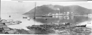 Lind-fjæra 2.jpg