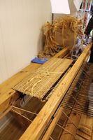 244. Lindebarkvev 03.JPG