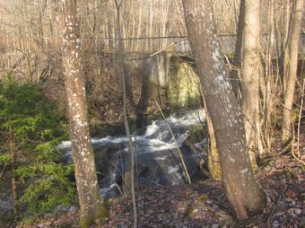 Ljanselva Liadalen Oslo 2012.jpg