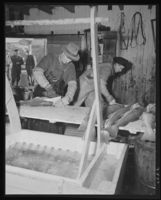 299. Lofotfiske - no-nb digifoto 20151126 00003 NB MIT FNR 09840.jpg