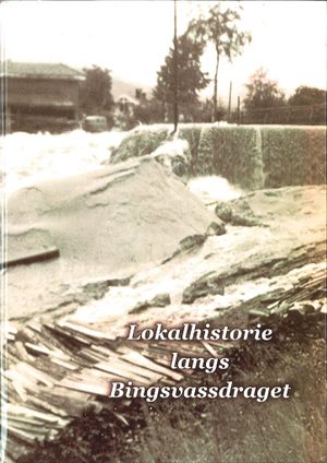 Lokalhistorie langs Bingsvassdraget - forside.jpg