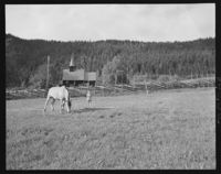 21. Lomen stavkirke - no-nb digifoto 20151125 00079 NB MIT FNR 08920A.jpg