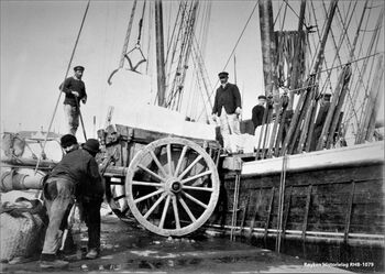 NÆRSNESIS LOSSES I EUROPEISK HAVN ca. 1906-1910 .Lossing av Nærsnes is fra skonnerten Cathrine av Thurø i Europeisk havn. På dekket (bak rigg-tauverket sitter kapteinen ved vekta. All is som ble losset ble veid og notert. En isblokk henger i issaksa for å bli satt ned på en hestekjerre (Foto Røyken Historielag, fotograf ukjent)