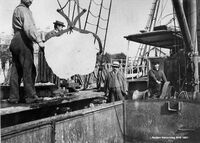 178. Lossing av is i Europeisk havn (RHB-1081).jpg