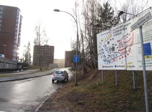 Ludvig Karstens vei Oslo 2013.jpg