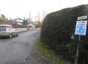 Lunaveien Oslo 2014.jpg