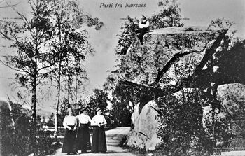 Fra tiden før 1910. Et postkort. Tre damer ved Lundesteinen på Nærsnestangen. En gutt sitter på toppen av steinen. Det står også en gutt til høyre for steinen. Kortet er sendt 28-6-1917. Lundes nye butikk ennå ikke bygget. (Foto fra Røyken Historielag, fotograf ukjent)