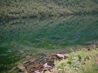 3. Lyngstøylvatnet2003.jpg