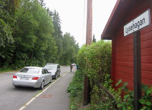 Lysehagan Oslo 2014.jpg