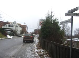 Lytterveien Oslo 2014.jpg