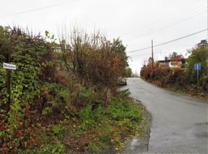 Måneveien Bærum 2020.JPG