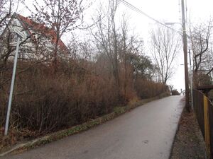 Mårveien Oslo 2015.jpg