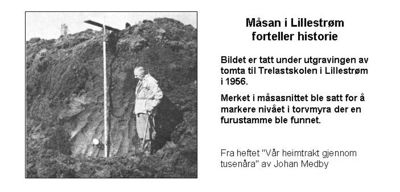Måsan i Lillestrøm.jpg