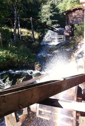 Strømmensagas vasshjul i full drift med Strømmenkverna i bakgrunnen. Foto Steinar Bunæs.