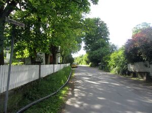 Møllesvingen Oslo 2014.jpg