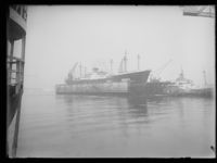 385. M-S Fernfield - no-nb digifoto 20160426 00113 NB NS NM 04472.jpg